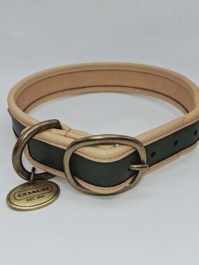 Coach Green and Natural Leather Dog Collar with Brass Medallion